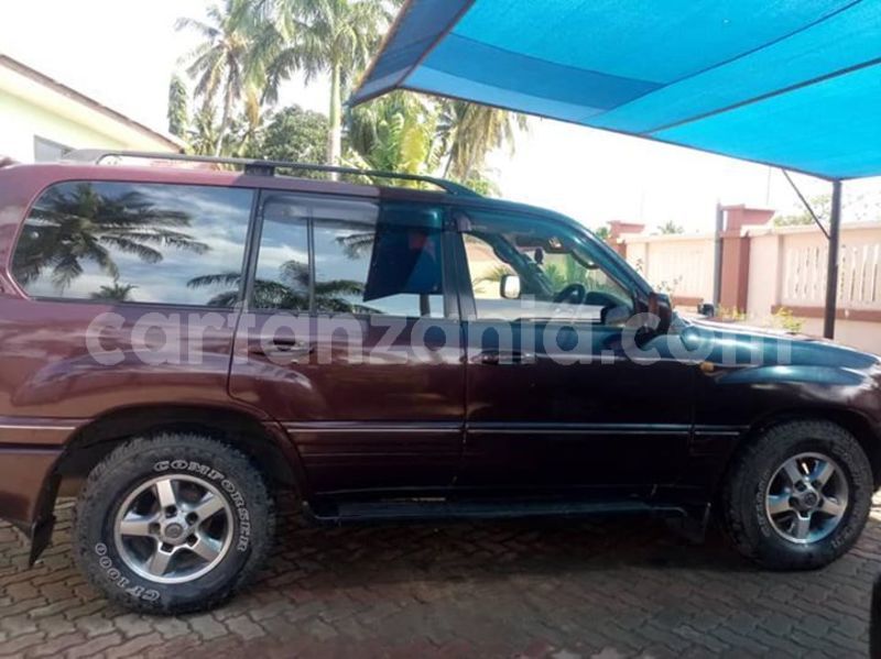 Big with watermark 48332763 2212404112382400 3521447684604952576 n