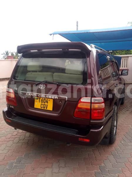 Big with watermark 48385555 2212404049049073 5874316342282158080 n