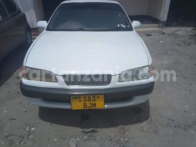 Big with watermark 48252708 2212304659059012 3344115060548042752 n