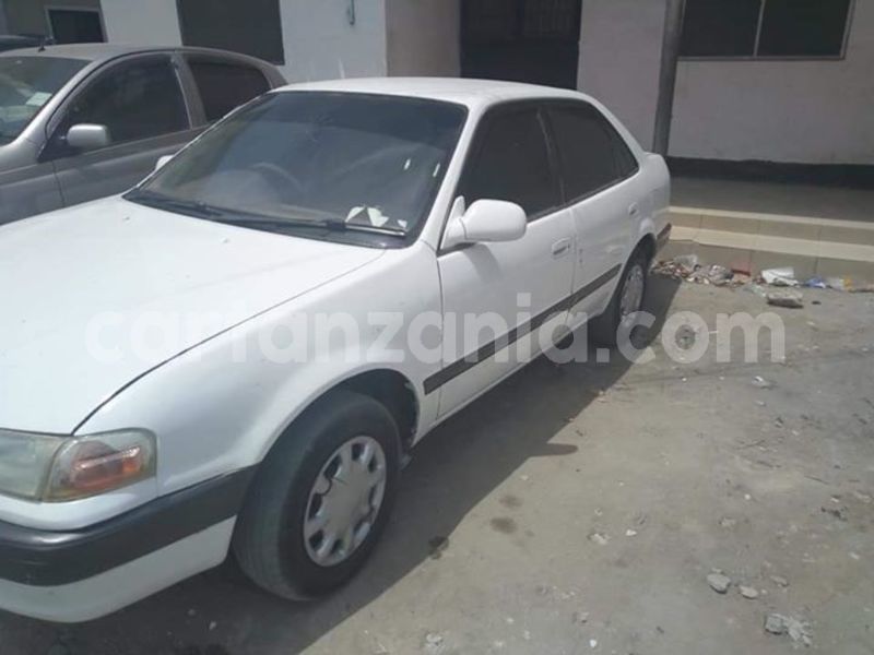 Big with watermark 47686490 2212304709059007 5130450452114046976 n