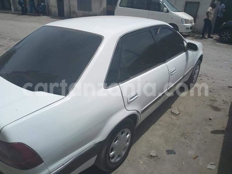 Big with watermark 48363798 2212304692392342 8611903414143549440 n