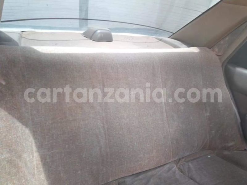 Big with watermark 48195672 2212304772392334 1020270958633549824 n