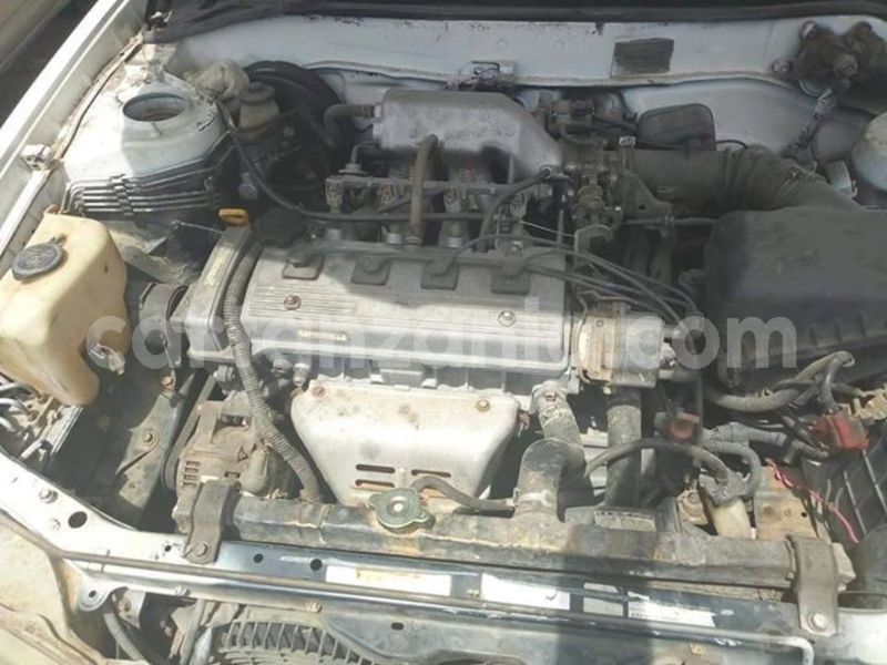 Big with watermark 48185507 2212304752392336 6972327540413169664 n