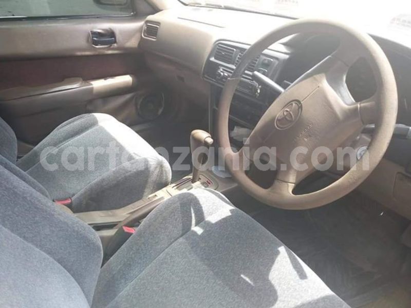 Big with watermark 47680945 2212304729059005 1249494922294198272 n