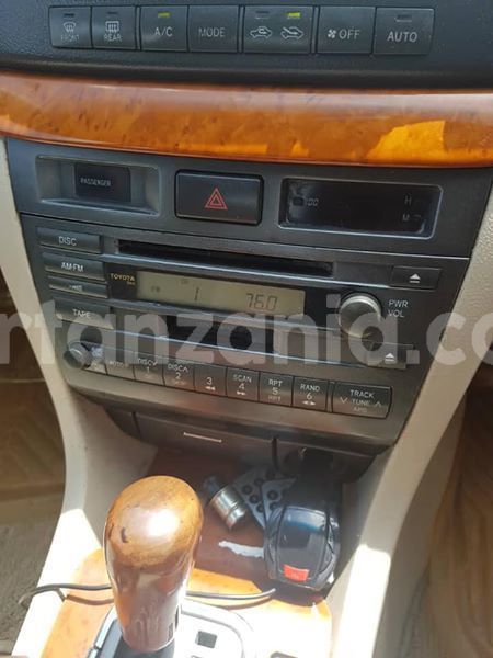 Big with watermark 48360662 2212284602394351 2457681527740301312 n