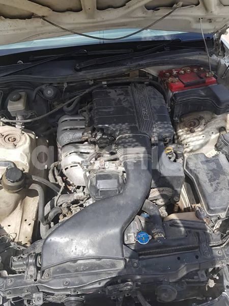 Big with watermark 48392883 2212284555727689 8321692705881063424 n