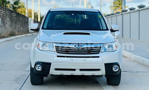 Nunua Imported Subaru Forester Nyeupe Gari ndani ya Dar es Salaam nchini Dar es Salaam Nunua Imported Subaru Forester Nyeupe Gari ndani ya Dar es Salaam nchini Dar es Salaam