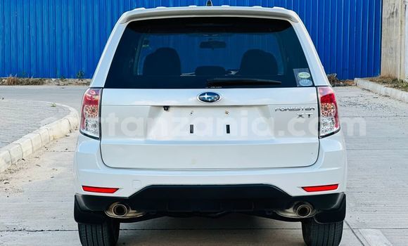 Nunua Imported Subaru Forester Nyeupe Gari ndani ya Dar es Salaam nchini Dar es Salaam Nunua Imported Subaru Forester Nyeupe Gari ndani ya Dar es Salaam nchini Dar es Salaam