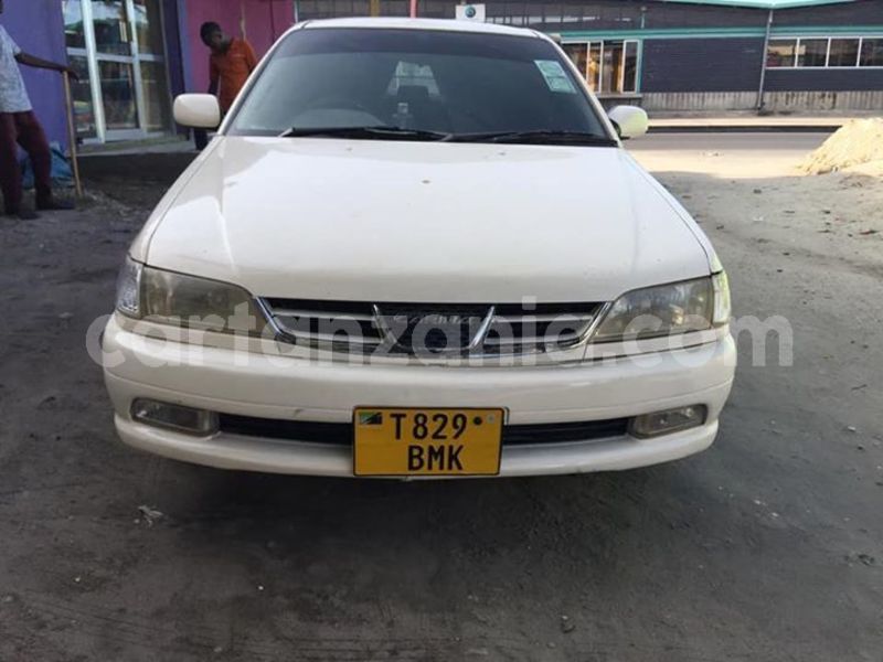 Big with watermark 47689460 2211395215816623 4491070348774604800 n