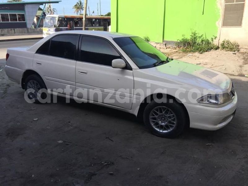 Big with watermark 47682564 2211395492483262 5143158912450560000 n