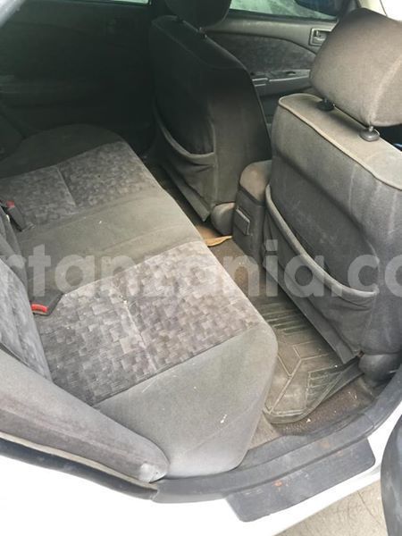 Big with watermark 48225572 2211395449149933 7415521483360829440 n