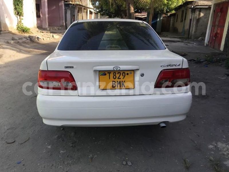 Big with watermark 48237096 2211395282483283 2865107245039878144 n