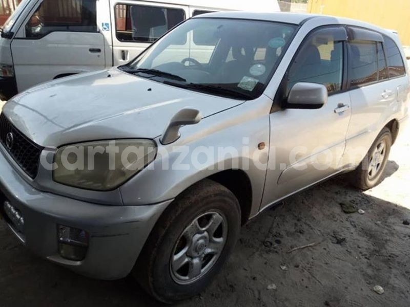 Big with watermark 48372444 2211395319149946 6500526851826384896 n