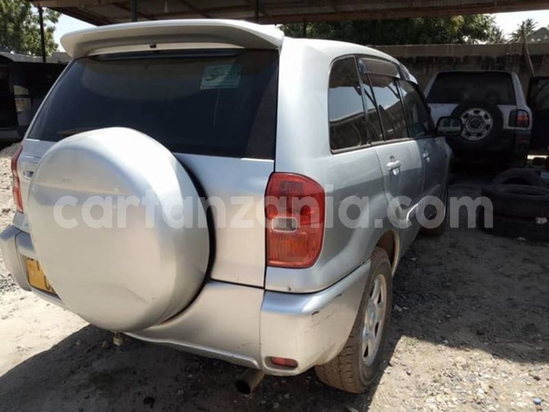 Big with watermark 47685418 2211395265816618 7288742239285542912 n