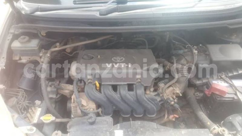 Big with watermark 48344989 2209776829311795 878419905517453312 n