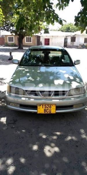 Big with watermark 48314802 2209114142711397 6652699209570975744 n