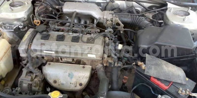 Big with watermark 48277993 2209114292711382 7637464519677050880 o