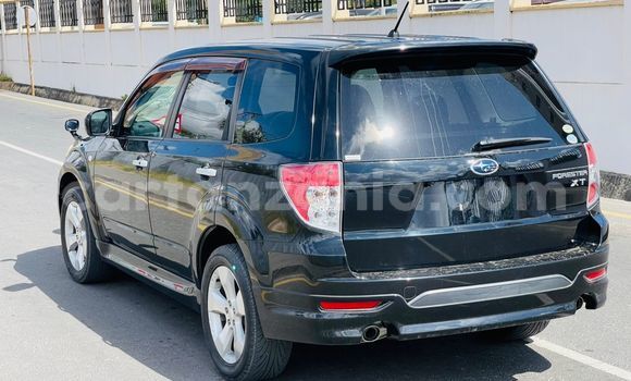 Buy Import Subaru Forester Black Car in Dar es Salaam in Dar es Salaam Buy Import Subaru Forester Black Car in Dar es Salaam in Dar es Salaam