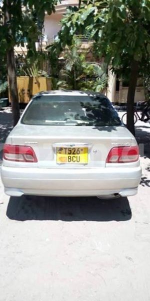 Big with watermark 48220535 2209114169378061 7402325746099683328 n