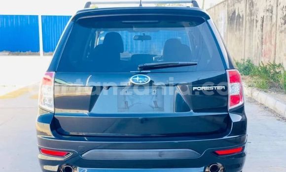 Buy Used Subaru Forester Black Car in Dar es Salaam in Dar es Salaam Buy Used Subaru Forester Black Car in Dar es Salaam in Dar es Salaam
