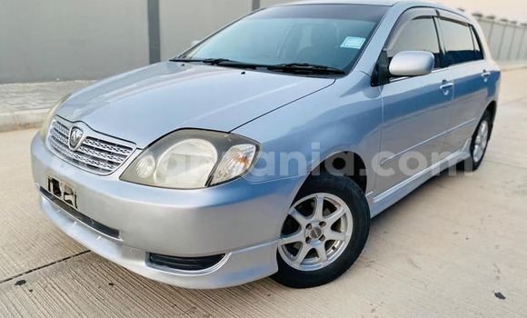 Buy Used Toyota Allex Silver Car in Dar es Salaam in Dar es Salaam