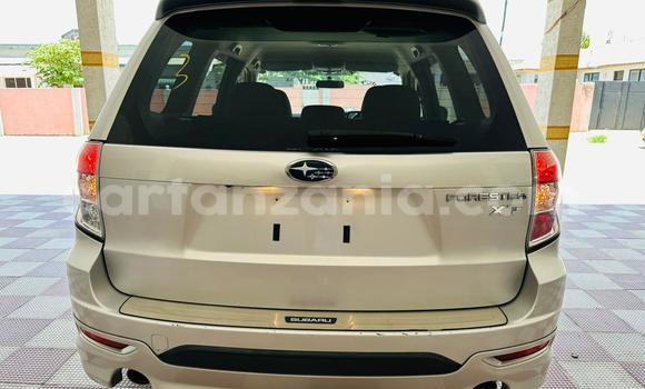 Buy Used Subaru Forester White Car in Dar es Salaam in Dar es Salaam Buy Used Subaru Forester White Car in Dar es Salaam in Dar es Salaam