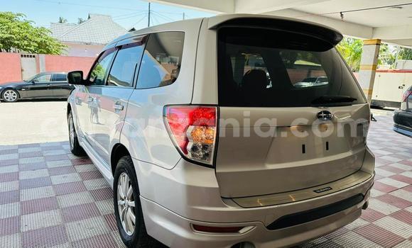 Buy Used Subaru Forester White Car in Dar es Salaam in Dar es Salaam Buy Used Subaru Forester White Car in Dar es Salaam in Dar es Salaam