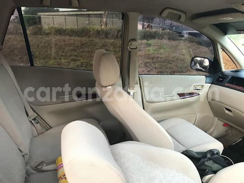 Big with watermark 48406386 2181440138841720 523125453284704256 n