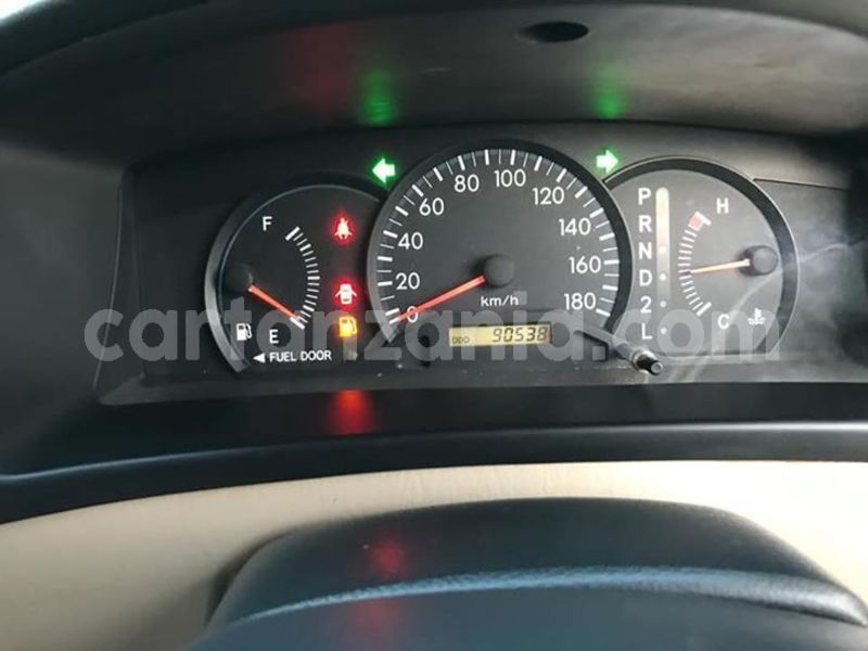 Big with watermark 48383840 2181440118841722 190146049099169792 n