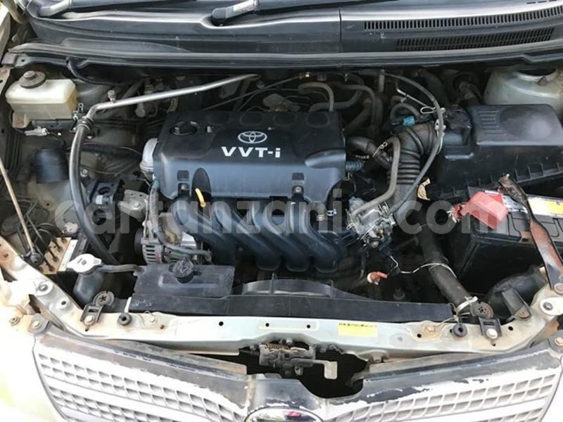 Big with watermark 48363766 2181440022175065 3701481108651638784 n