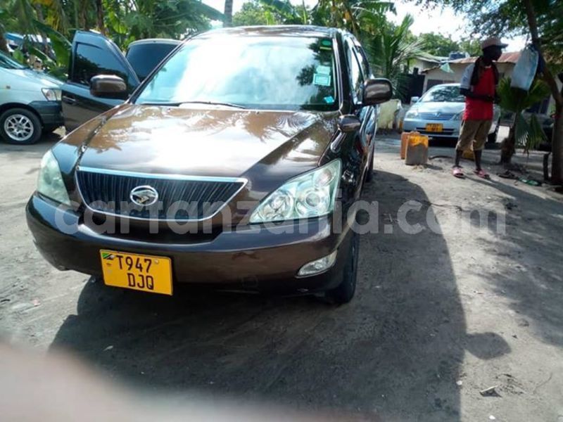 Big with watermark 48393319 2182694775382923 7269097660169060352 n