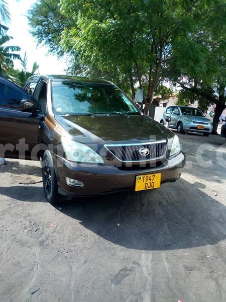 Big with watermark 48415796 2182694695382931 4093015812028235776 n