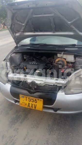 Big with watermark 48357316 2180150602304007 7703064501536423936 n