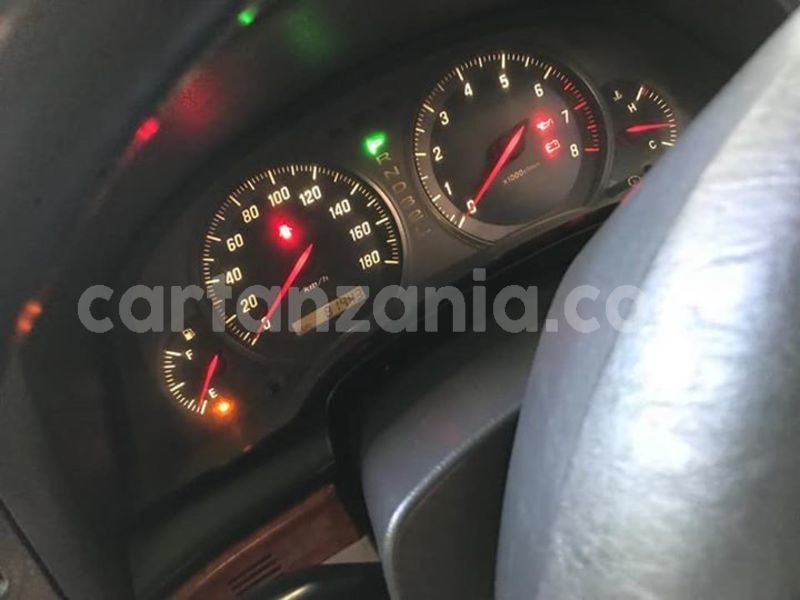 Big with watermark 46778388 2165466247105776 2975907540031766528 n