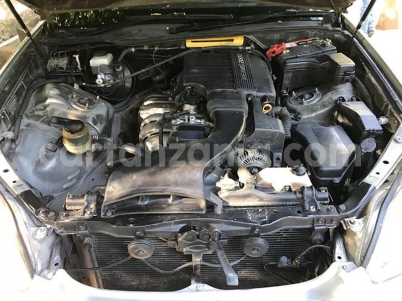 Big with watermark 46734918 2165463507106050 592169895836254208 n