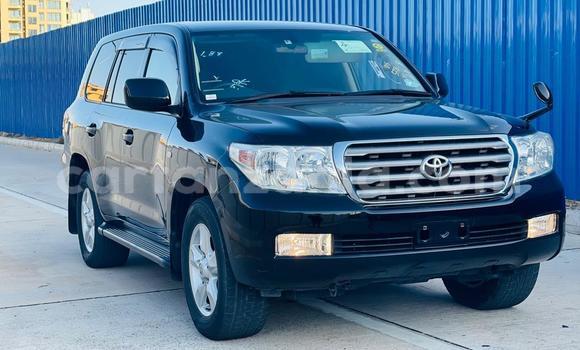 Buy Import Toyota Land Cruiser Black Car in Dar es Salaam in Dar es Salaam