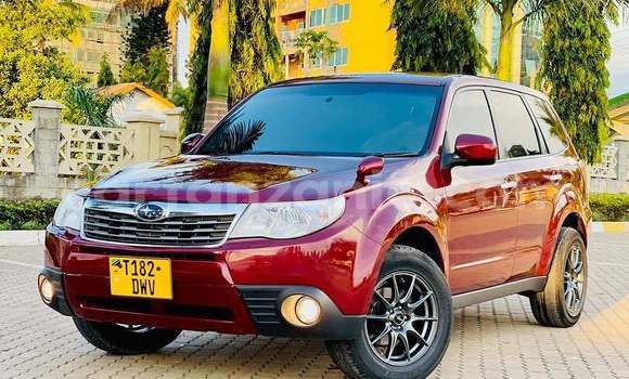 Nunua Ilio tumika Subaru Forester Nyekundu Gari ndani ya Dar es Salaam nchini Dar es Salaam
