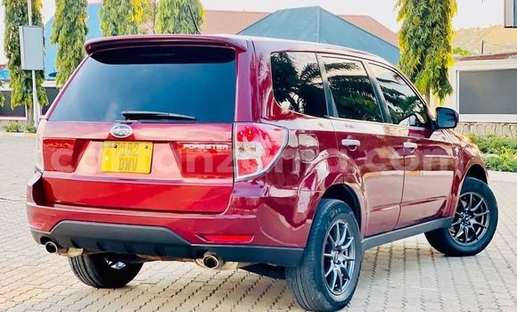 Nunua Ilio tumika Subaru Forester Nyekundu Gari ndani ya Dar es Salaam nchini Dar es Salaam Nunua Ilio tumika Subaru Forester Nyekundu Gari ndani ya Dar es Salaam nchini Dar es Salaam