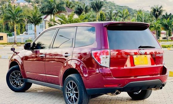 Nunua Ilio tumika Subaru Forester Nyekundu Gari ndani ya Dar es Salaam nchini Dar es Salaam Nunua Ilio tumika Subaru Forester Nyekundu Gari ndani ya Dar es Salaam nchini Dar es Salaam