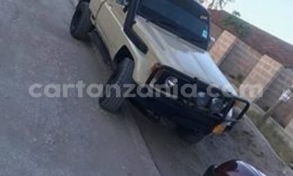 Nunua Ilio tumika Toyota Land Cruiser Beige Gari ndani ya Dar es Salaam nchini Dar es Salaam Nunua Ilio tumika Toyota Land Cruiser Beige Gari ndani ya Dar es Salaam nchini Dar es Salaam