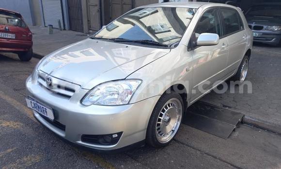 Buy Used Toyota Runx Silver Car in Arusha in Arusha Buy Used Toyota Runx Silver Car in Arusha in Arusha