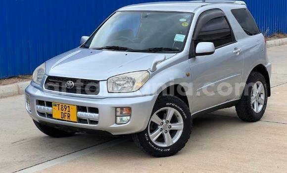 Nunua Ilio tumika Toyota RAV4 Fedha Gari ndani ya Dar es Salaam nchini Dar es Salaam