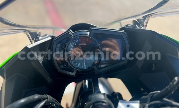Buy New Kawasaki Ninja Green Bike in Arusha in Arusha Buy New Kawasaki Ninja Green Bike in Arusha in Arusha