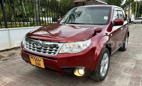 Nunua Ilio tumika Subaru Forester Nyekundu Gari ndani ya Dar es Salaam nchini Dar es Salaam Nunua Ilio tumika Subaru Forester Nyekundu Gari ndani ya Dar es Salaam nchini Dar es Salaam