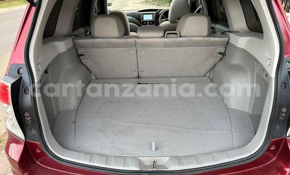 Nunua Ilio tumika Subaru Forester Nyekundu Gari ndani ya Dar es Salaam nchini Dar es Salaam Nunua Ilio tumika Subaru Forester Nyekundu Gari ndani ya Dar es Salaam nchini Dar es Salaam