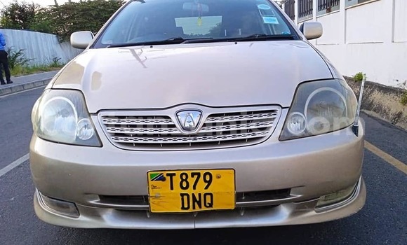 Buy Used Toyota Allex Brown Car in Dar es Salaam in Dar es Salaam