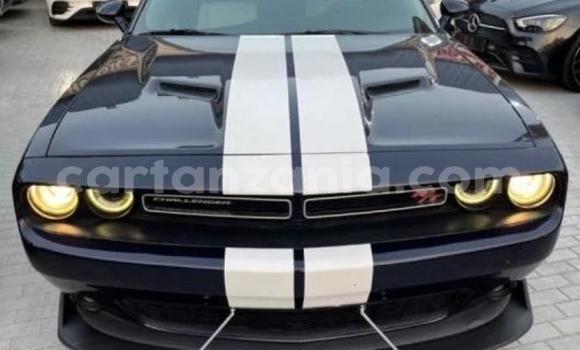 Buy Used Dodge Challenger Black Car in Arusha in Arusha