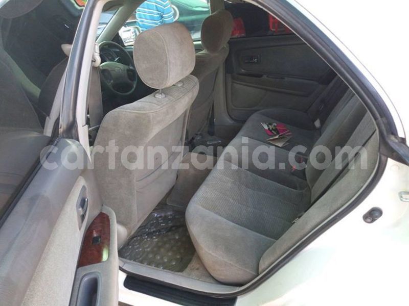 Big with watermark 45484584 331595777651895 5752428992942571520 o