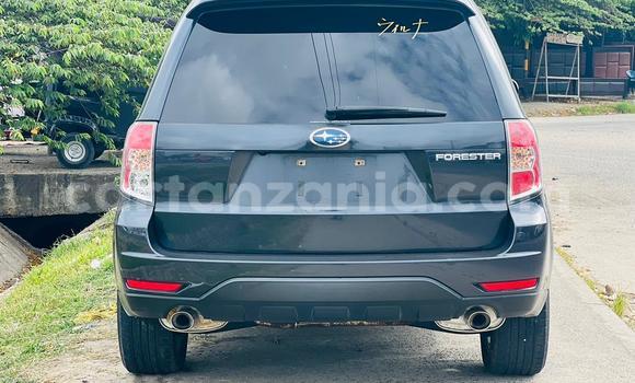 Nunua Imported Subaru Forester Nyeusi Gari ndani ya Dar es Salaam nchini Dar es Salaam Nunua Imported Subaru Forester Nyeusi Gari ndani ya Dar es Salaam nchini Dar es Salaam