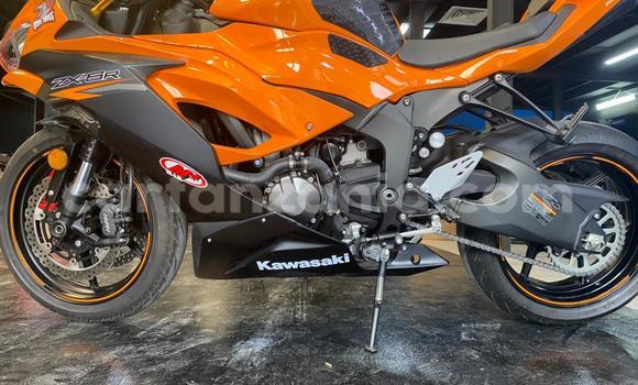 Buy Used Kawasaki Ninja Green Bike in Arusha in Arusha Buy Used Kawasaki Ninja Green Bike in Arusha in Arusha